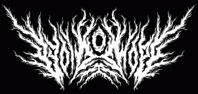 logo Void Of Hope